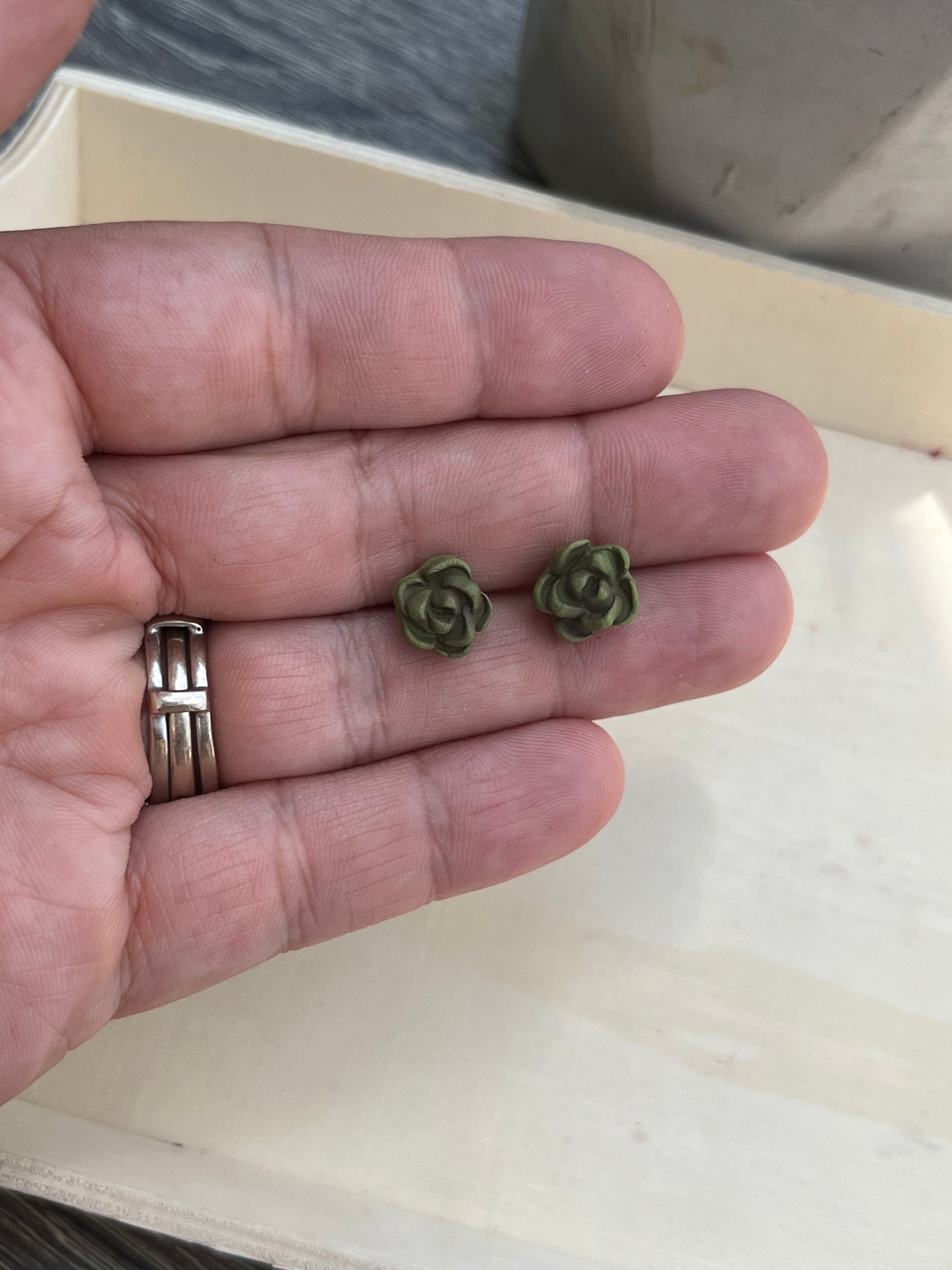 Haworthia Stud