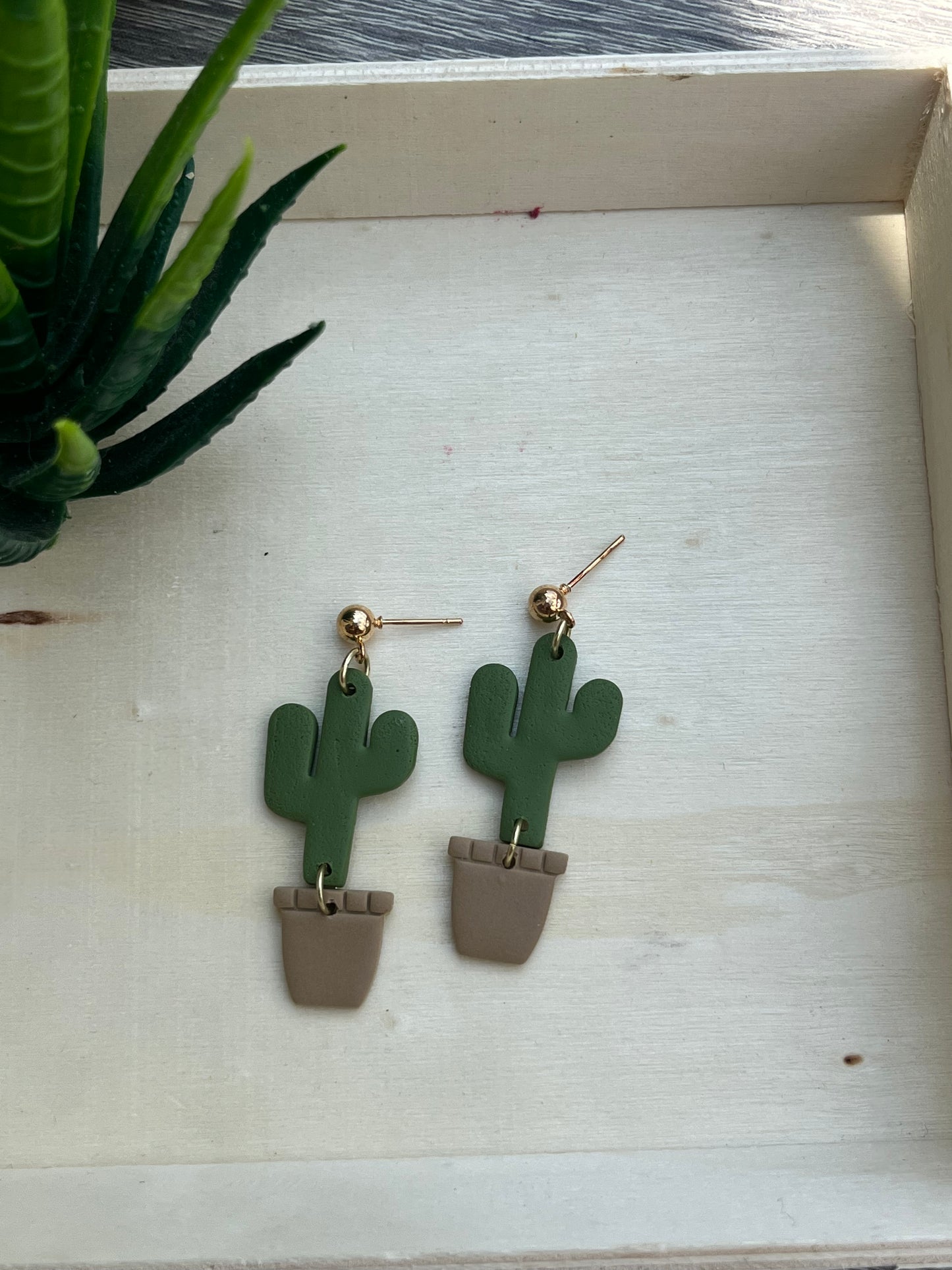 Cactus