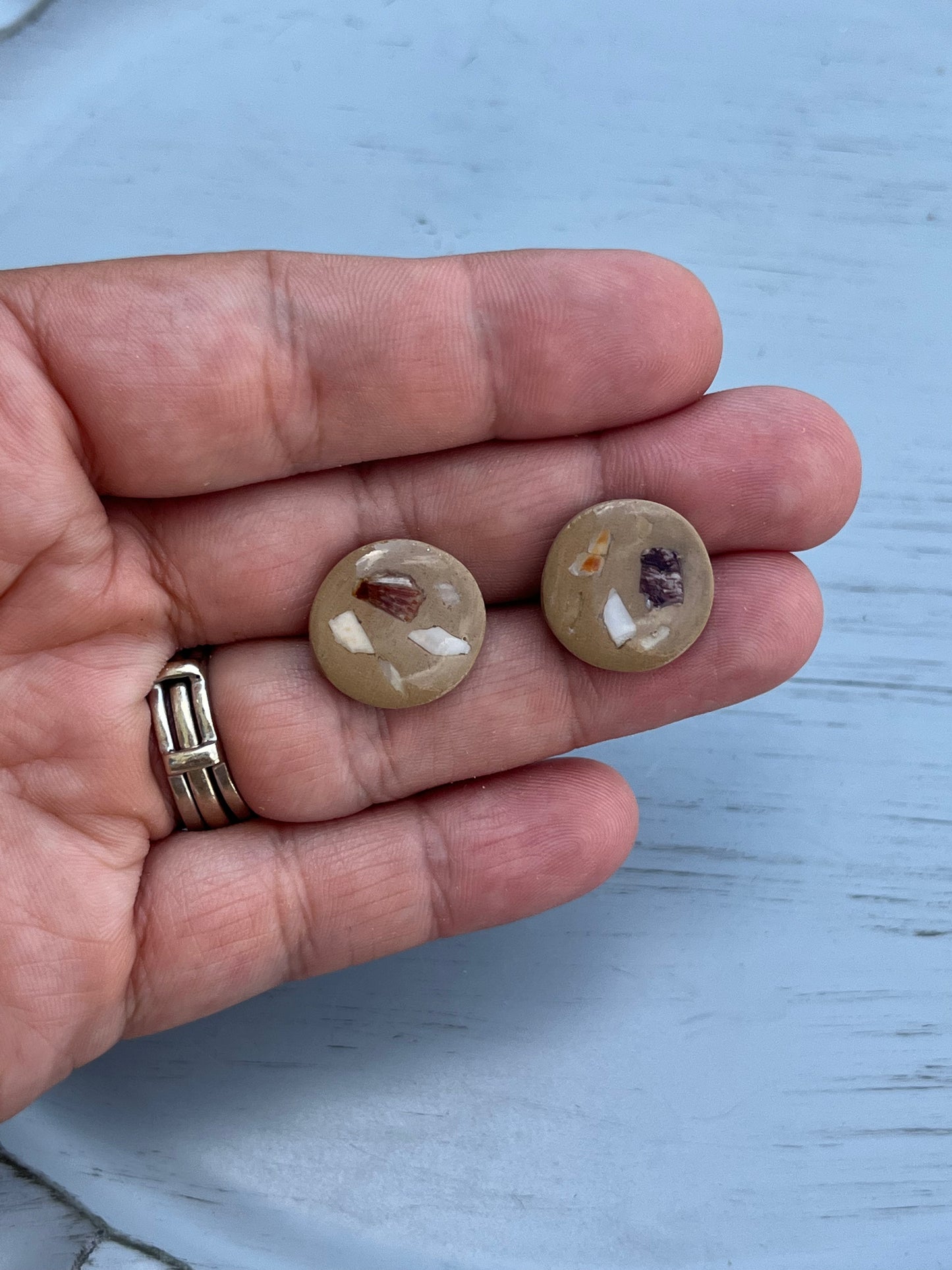 Shelly Circle Studs